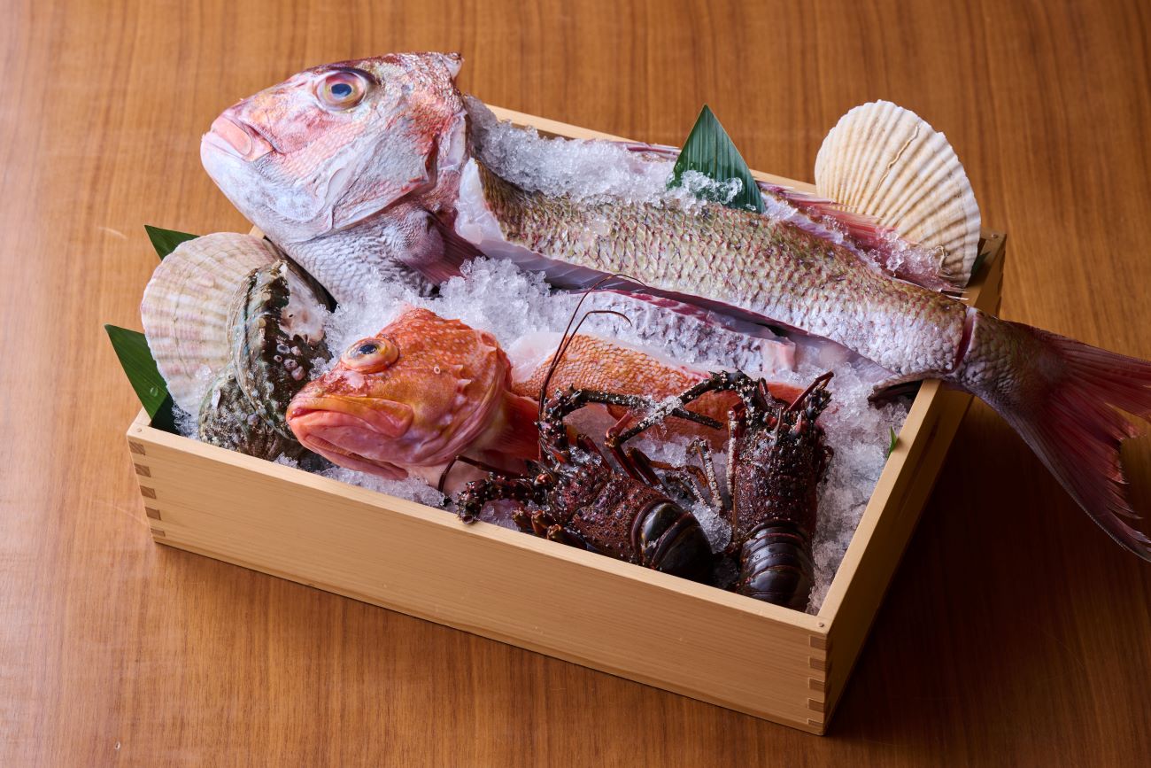 ＼さくら鯛と伊勢海老に春告魚 季節のおすすめ春味／